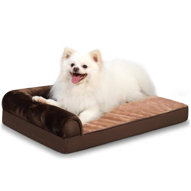 Wayfair extra clearance large dog beds